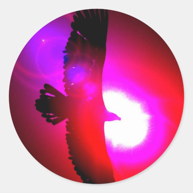 Sticker Rond Aigle à tête blanche américaine (Devant)