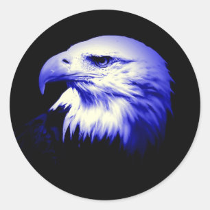 Sticker Rond Aigle à tête bleue