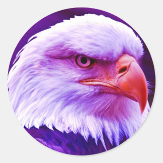 Sticker Rond Aigle d'Amérique