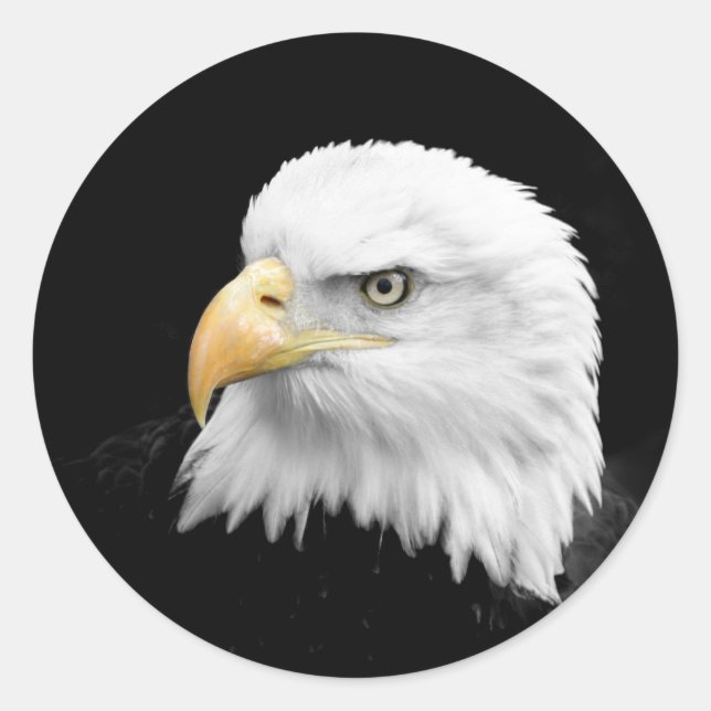 Sticker Rond Aigle de Bald (Devant)