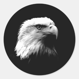 Sticker Rond Aigle noir et blanc
