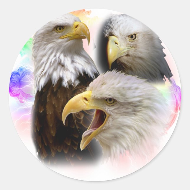 Sticker Rond Aigles (Devant)