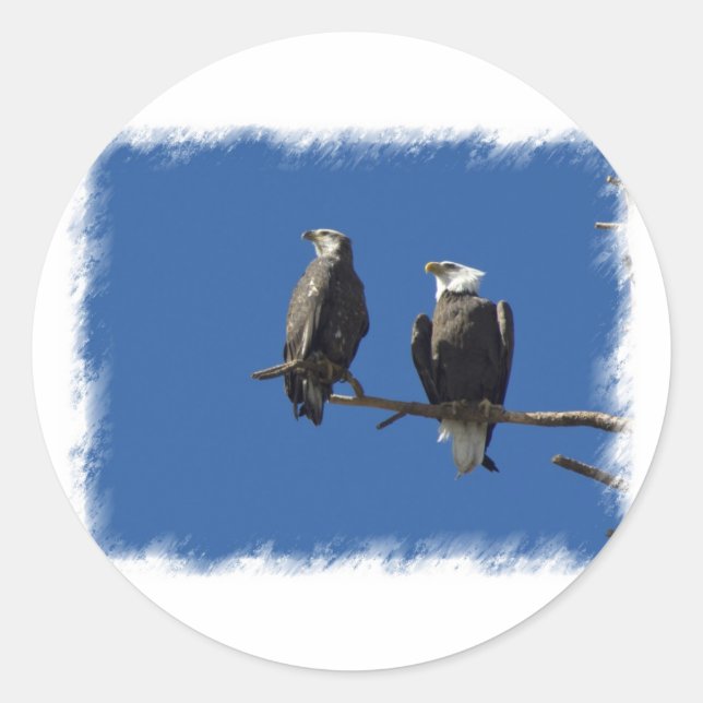 Sticker Rond Aigles chauds (Devant)