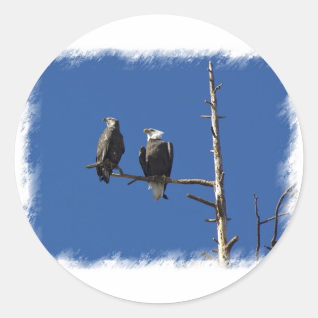 Sticker Rond Aigles chauds (Devant)
