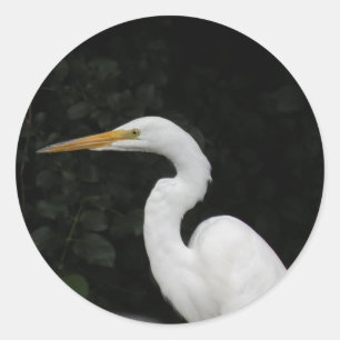Sticker Rond Aiguille