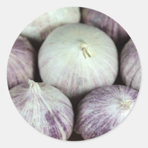 Sticker Rond Ail solo