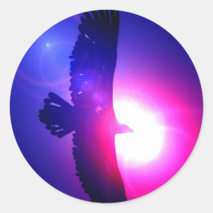 Sticker Rond Ailes d'aigle - Aigle en vol