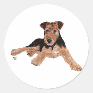 Sticker Rond Airedale, Lakeland, Welsh Terrier Pup