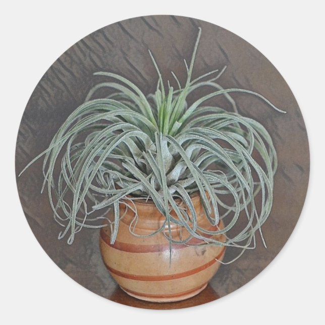Sticker Rond Airplant Oaxacana (Devant)