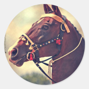 Sticker Rond Akhal Teke