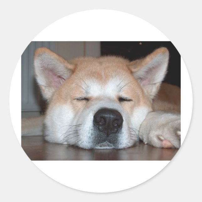Sticker Rond akita dormir.png (Devant)