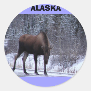 Sticker Rond Alaska Moose