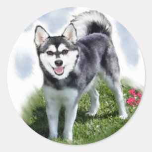 Sticker Rond Alaskan Klee Kai Art