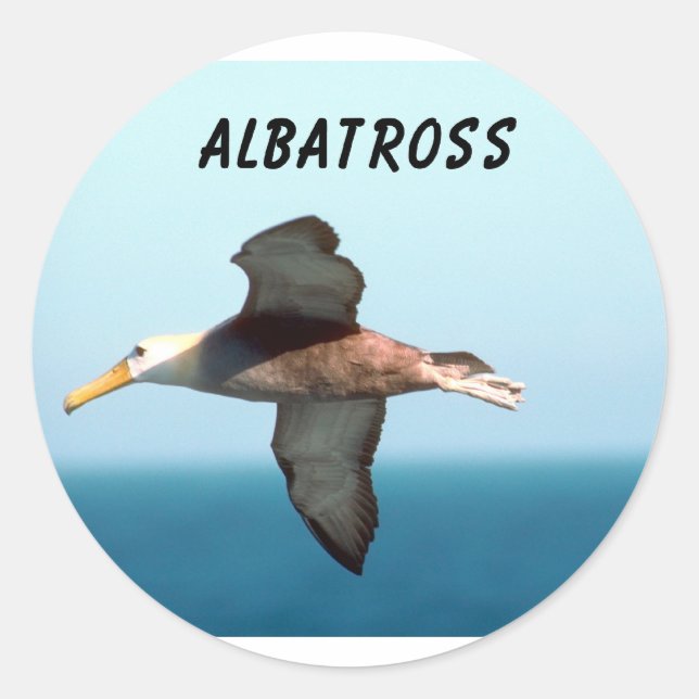 Sticker Rond Albatros volant (Devant)