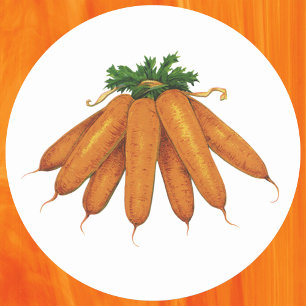 Sticker Rond Aliments Anciens, Bouquet de Carottes Biologiques 