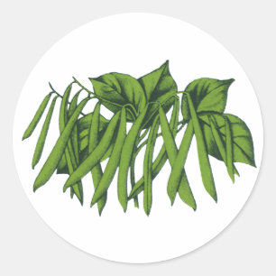 Sticker Rond Aliments vintages, haricots verts biologiques Légu