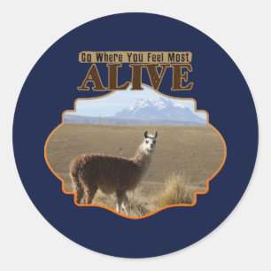 Sticker Rond Allez Là Où Vous Sentez Le Plus Alive Llama Aventu