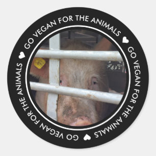 Sticker Rond Allez Vegan Pour Les Animaux Photo Noire
