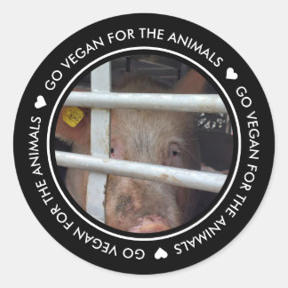 Sticker Rond Allez Vegan Pour Les Animaux Photo Noire
