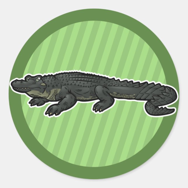 Sticker Rond Alligator américain (Devant)