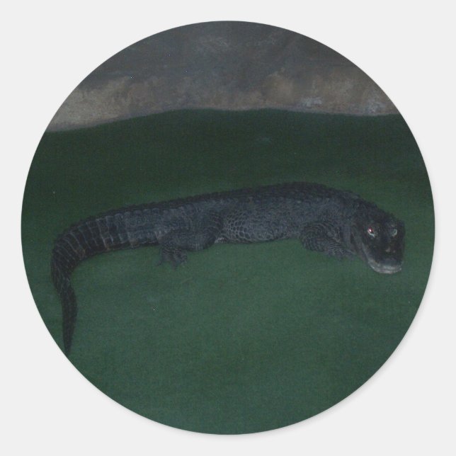 Sticker Rond Alligator ~ Qu'y a-t-il dans l'obscurité ? (Devant)