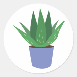 Sticker Rond Aloe Plante