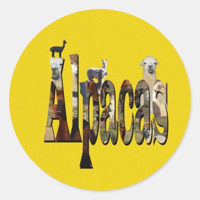 Sticker Rond Alpaca jaune, (Devant)