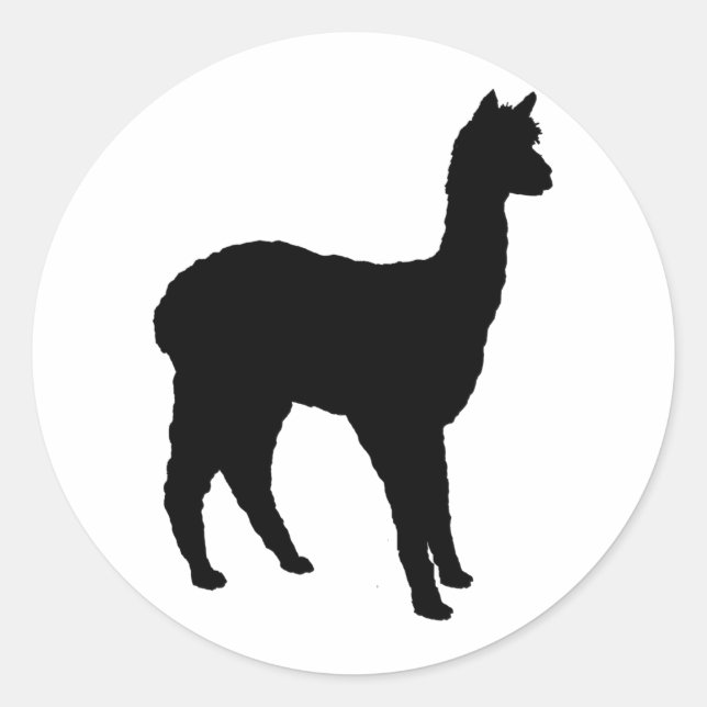Sticker Rond Alpaca Silhouette (Devant)
