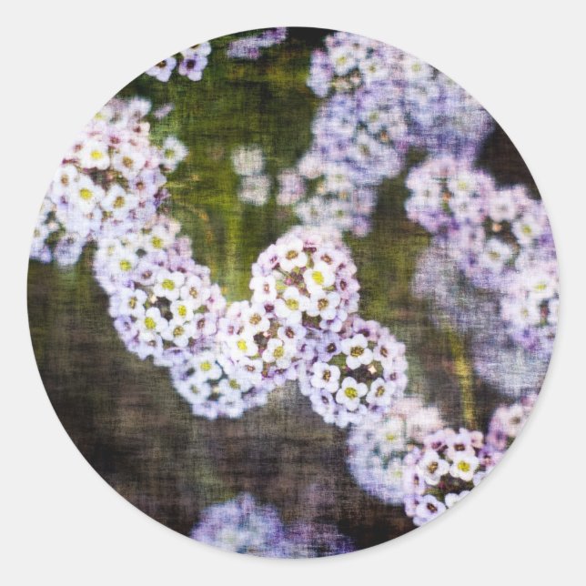 Sticker Rond Alyssum doux en Grunge (Devant)