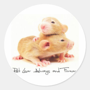 Sticker Rond Amant de rat toujours et pour toujours