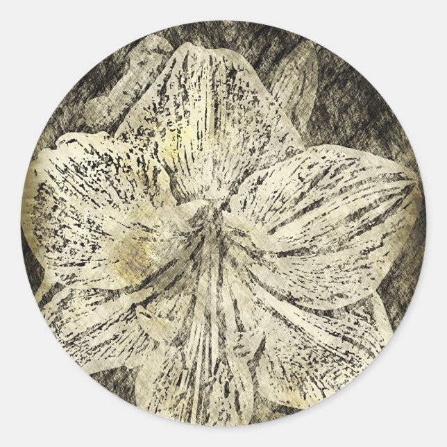 Sticker Rond Amaryllis Old Time Sketch (Devant)