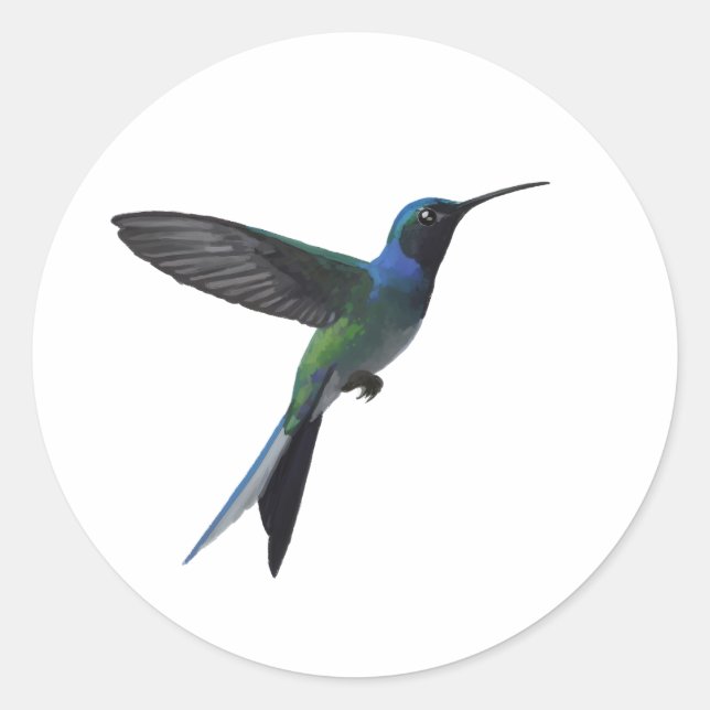 Sticker Rond Amateur de colibris (Devant)