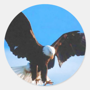 Sticker Rond Américain chauve Eagle