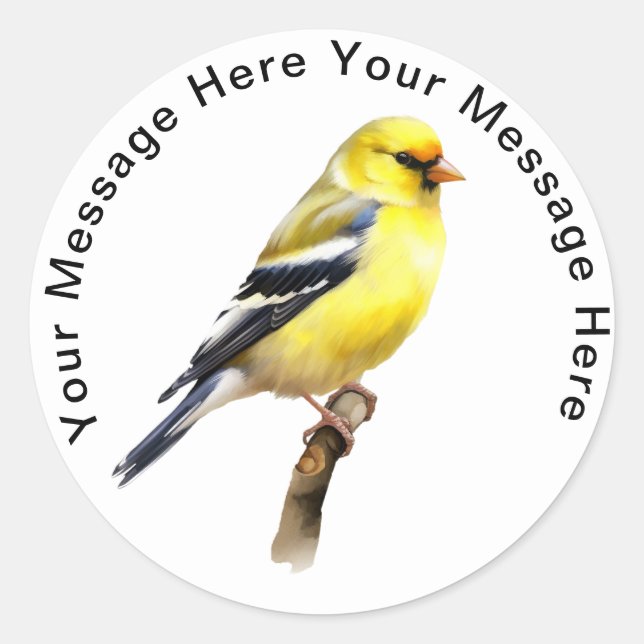 Sticker Rond Américain Goldfinch (Devant)