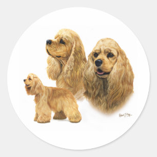Sticker Rond American Cocker Spaniel