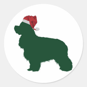 Sticker Rond American Cocker Spaniel
