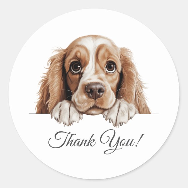 Sticker Rond American Cocker Spaniel mou Chien Merci (Devant)