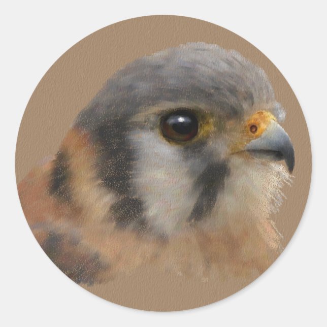 Sticker Rond American Kestrel Portrait (Devant)