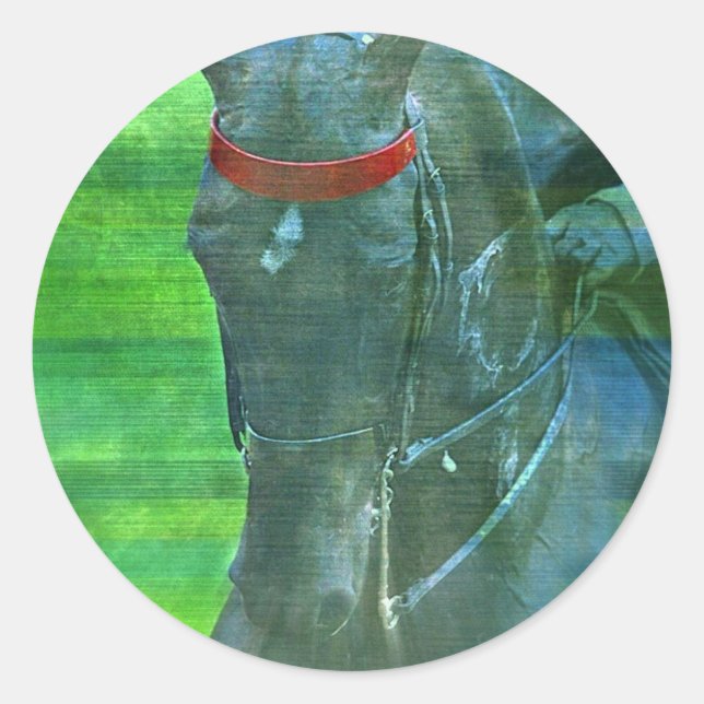 Sticker Rond American Saddlebred (Devant)