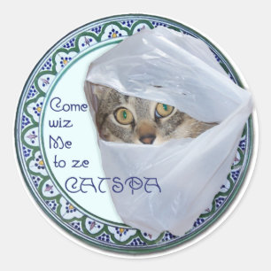 Sticker Rond American Shorthair - Salon pour chats, Oui !
