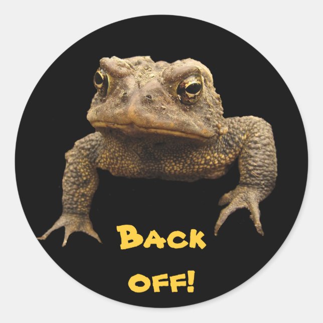 Sticker Rond American Toad (Devant)