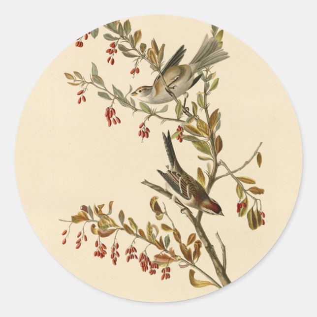 Sticker Rond American Tree Sparrow, les oiseaux d'Amérique d'Au (Devant)