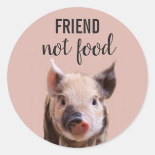 Sticker Rond ami, pas de la nourriture avec porcelet vegan mign