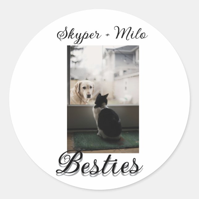 Sticker Rond Amis animaux meilleures copines ajouter nom photo  (Devant)