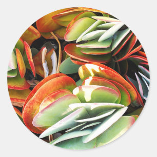 Sticker Rond Amour_