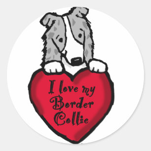Sticker Rond Amour de border collie (merle bleu)