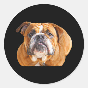 Sticker Rond Amour Français Bulldog Chien visage - Mascotte Bro