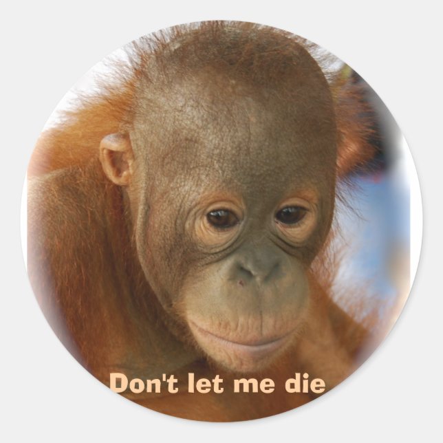 Sticker Rond Amour motivationnel pour toute vie animale (Devant)