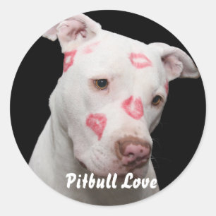 Sticker Rond Amour Pitbull modifiable