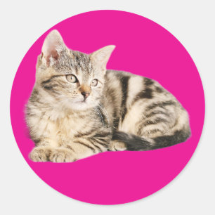 Sticker Rond Amoureux de les chats d'affiches murales